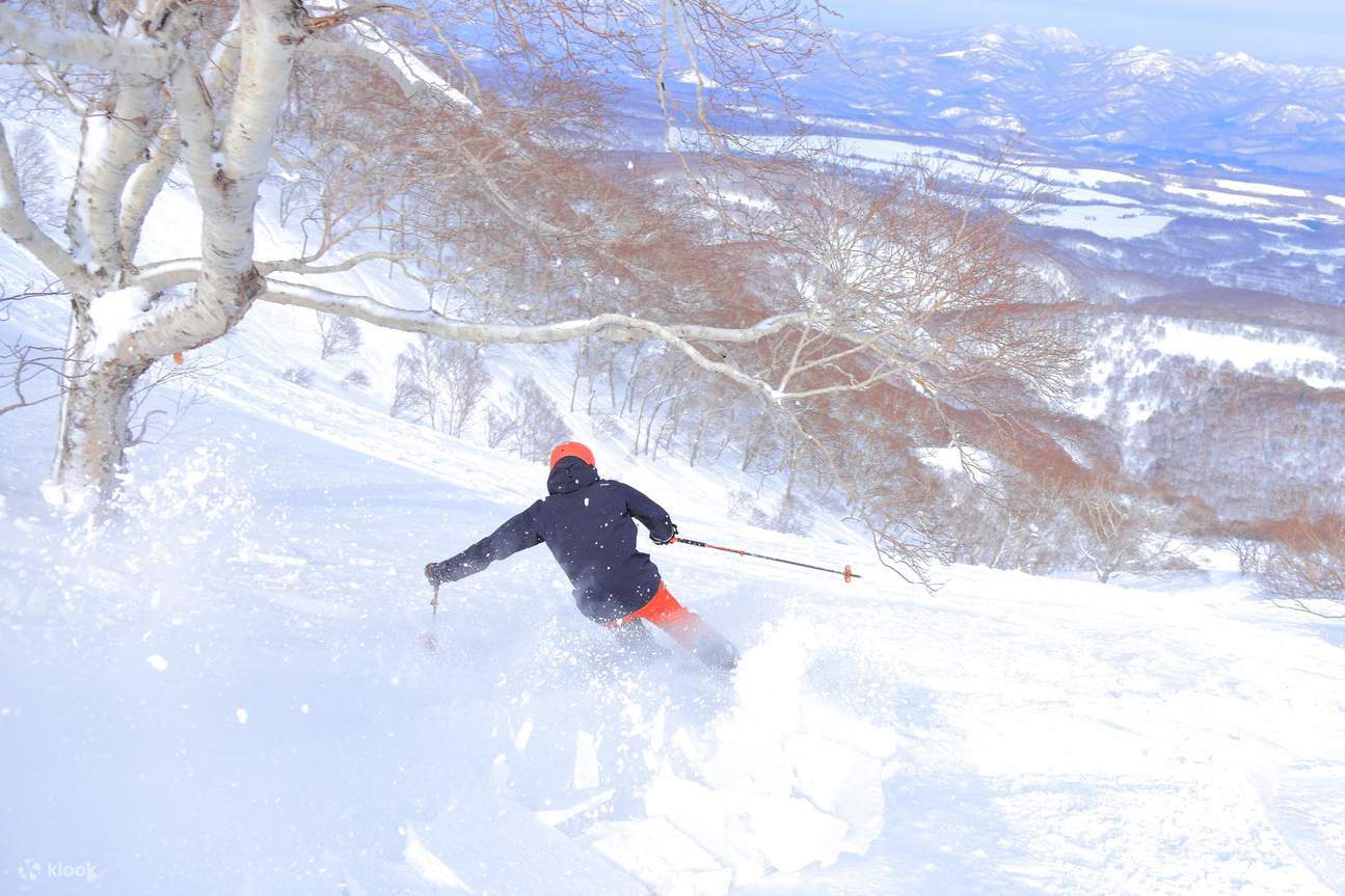 Kamui: Christmas Gift Park Ski Resort Chinese and English Private Ski ...