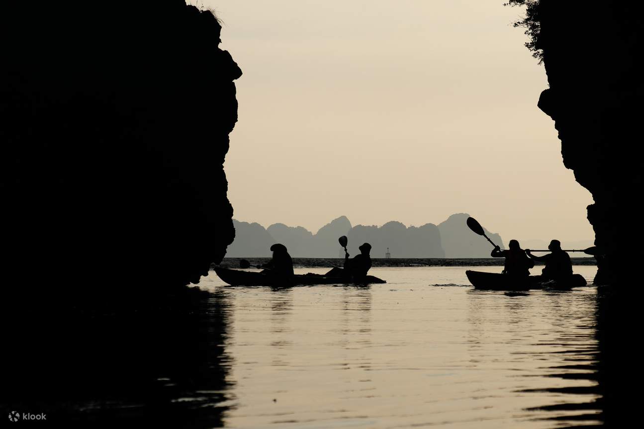 Krabi: Mangrove Kayak x Elephant Shelter Tour with Private Transfer