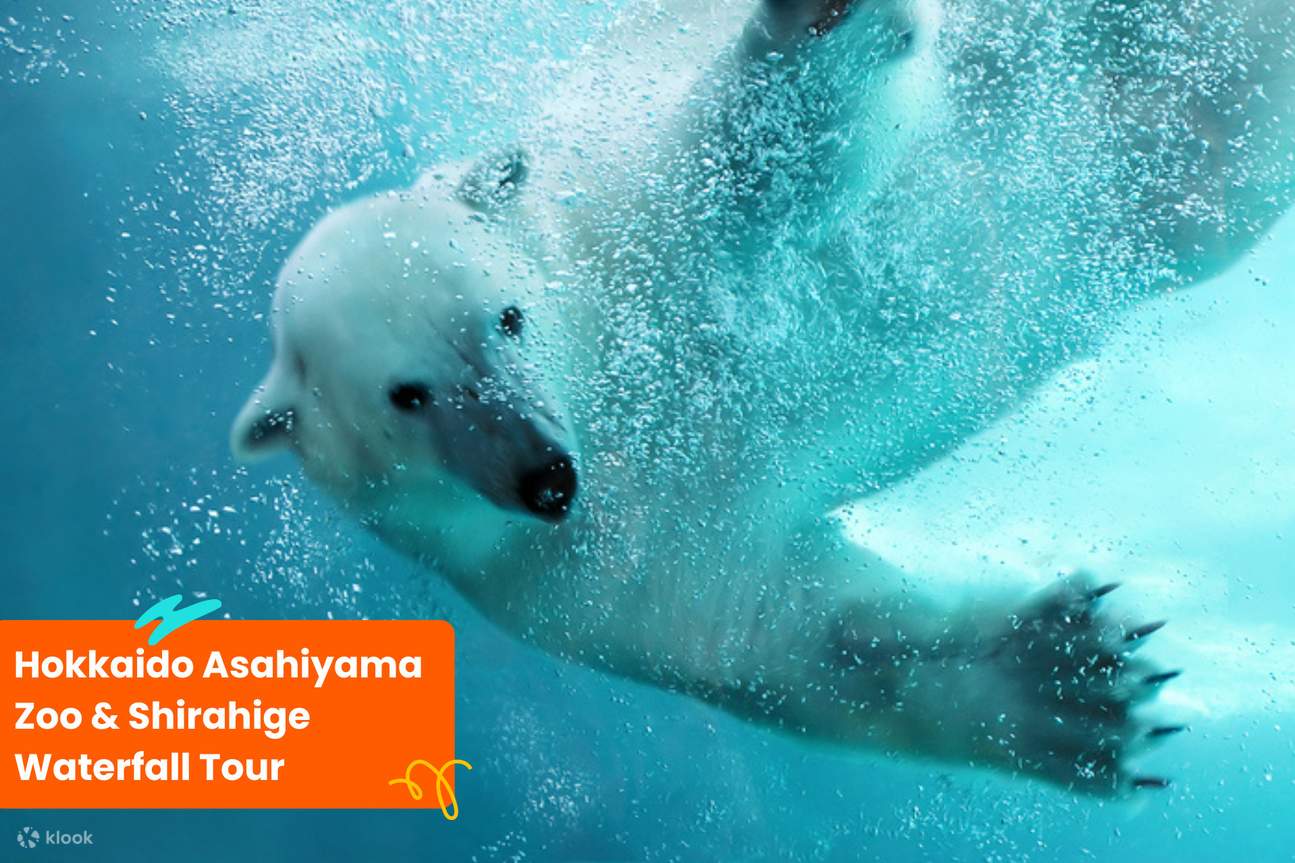 สวนสัตว์ฮอกไกโดอาซาฮิยามะ