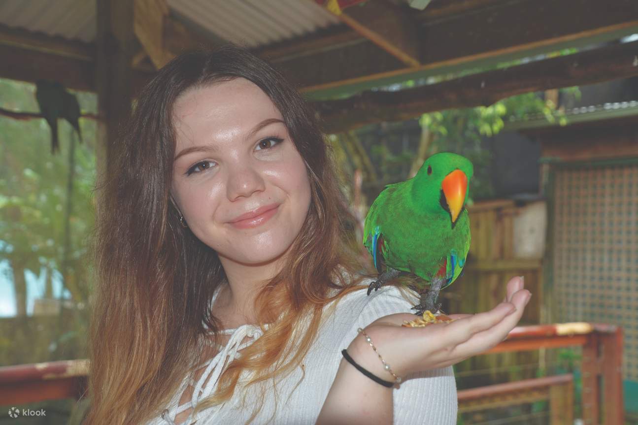 kuranda bird world
