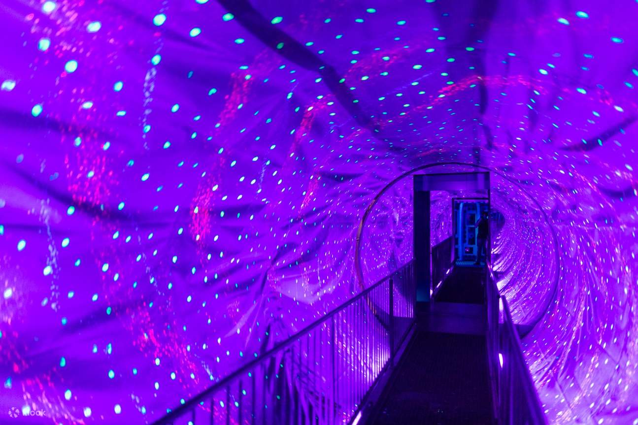 Ripley's Believe It or Not Amsterdam