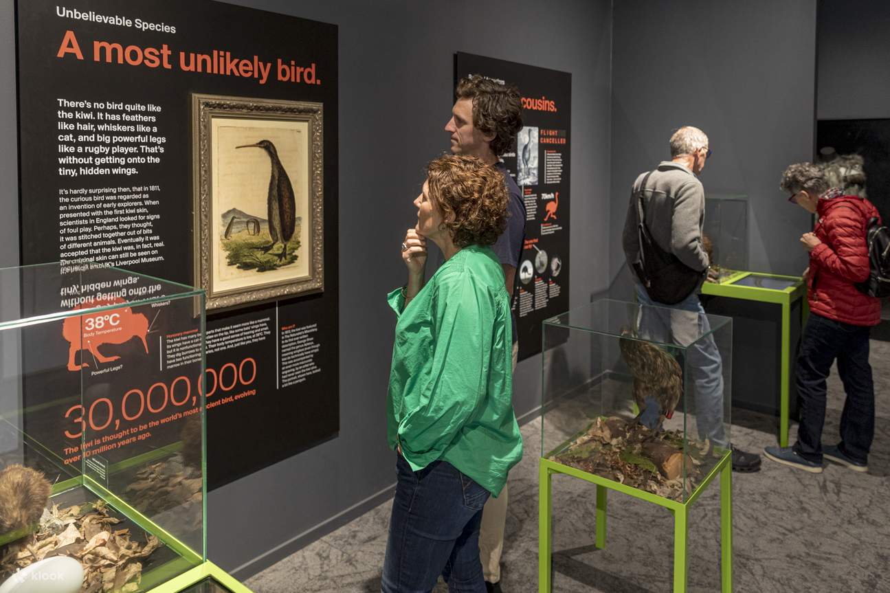 National Kiwi Hatchery - Lawatan Melihat Kiwi