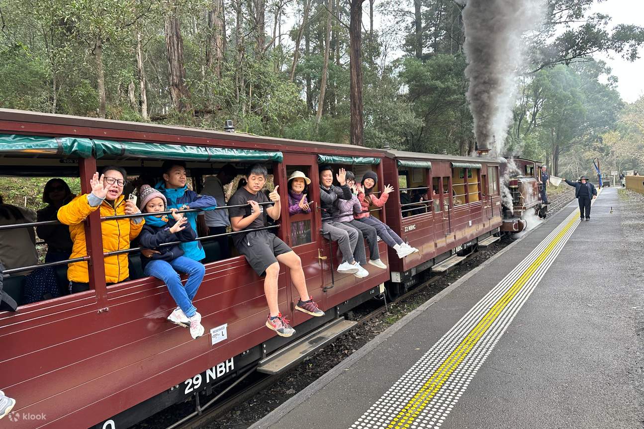 Viaggio naturalistico di Puffing Billy