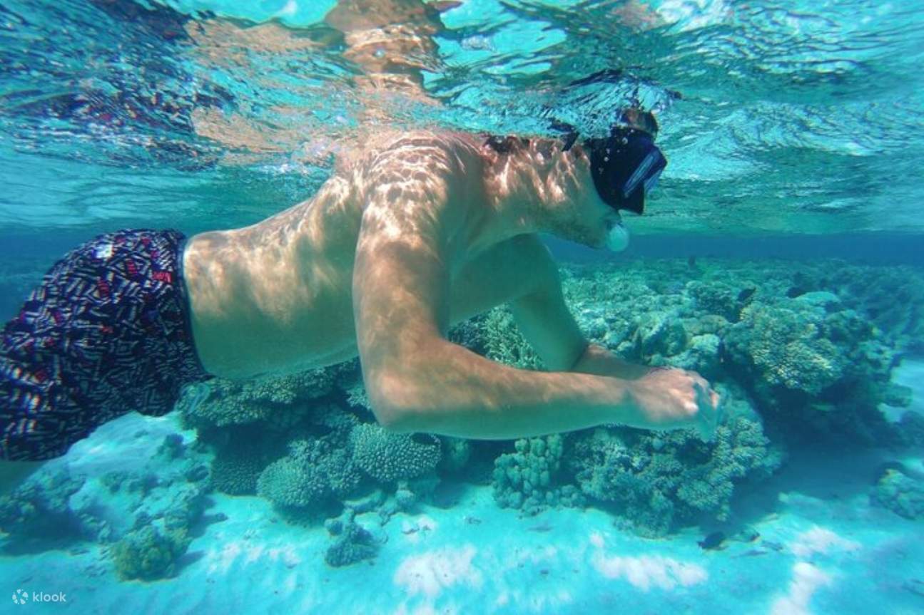 Морская поездка для снорклинга на острова Хамата и Кулаан с обедом - Марса Алам