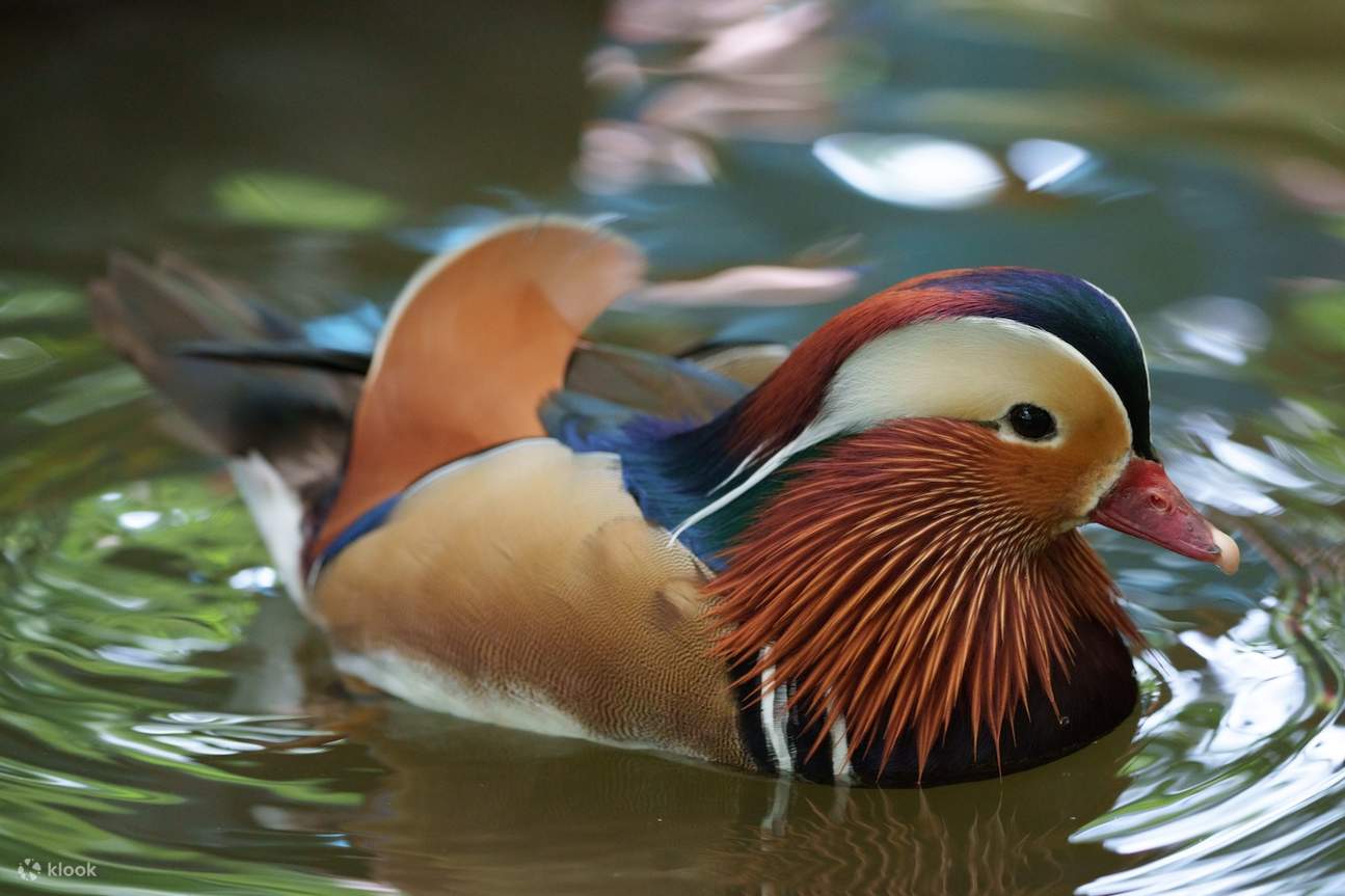 Billet pour Farm In The City 