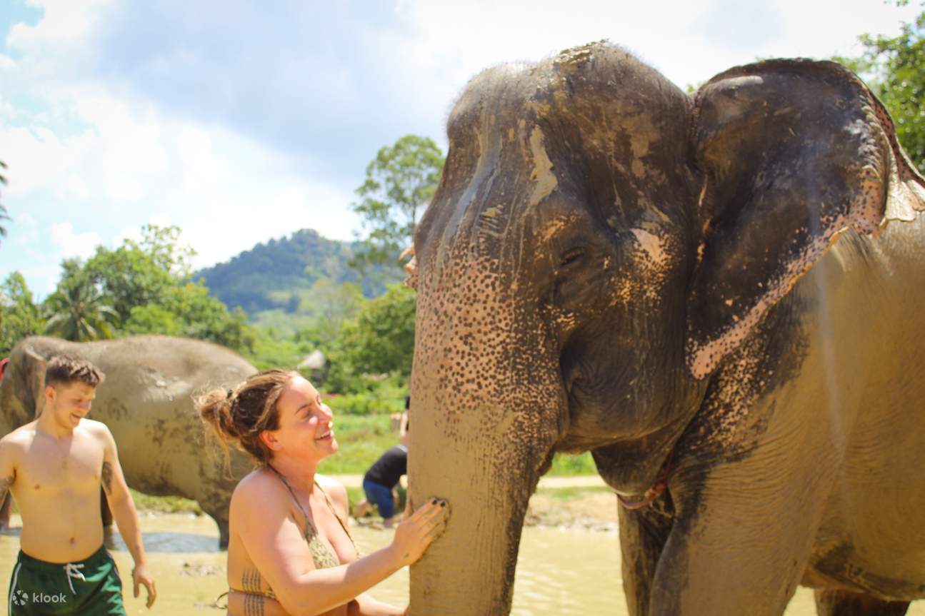 Pengalaman Aonang Elephant Sanctuary
