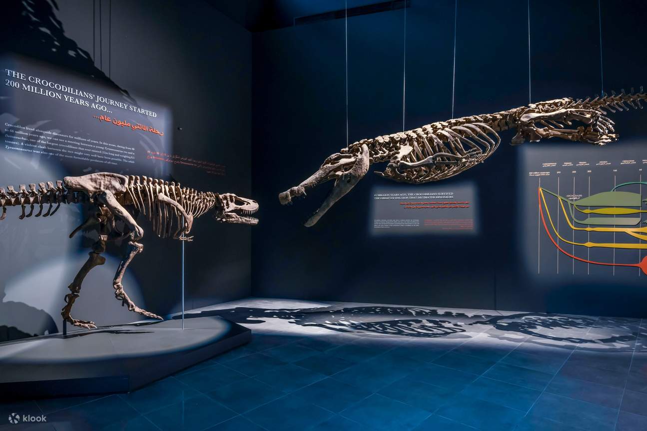 Музей «Парк крокодилов в Дубае»