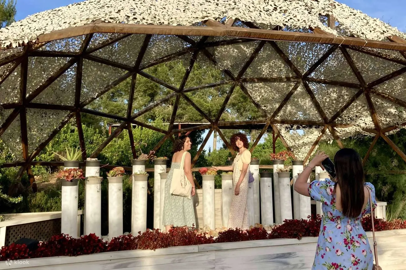 伊维萨岛生物技术植物园之旅