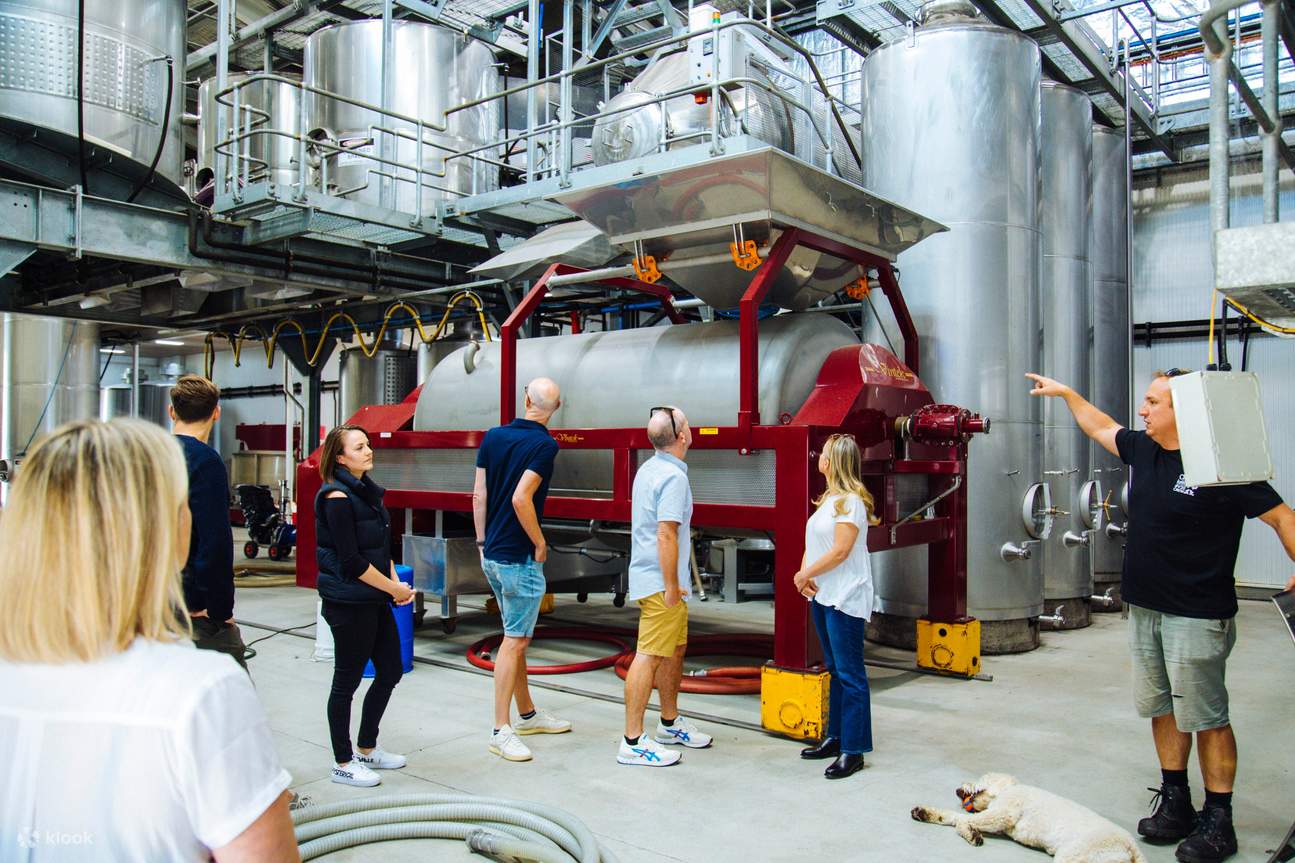 Valle Hunter entre bastidores