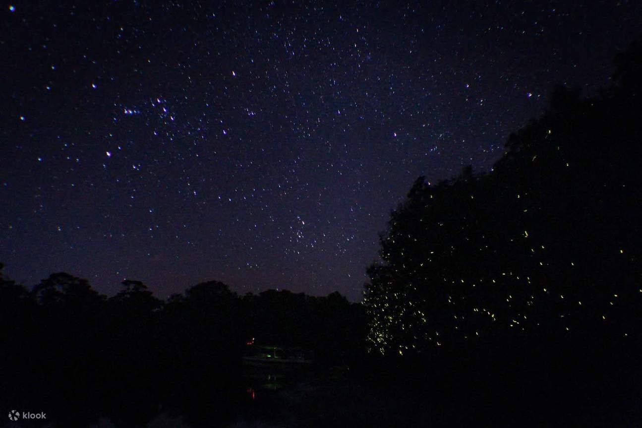 Сабах: тур с наблюдением за светлячками