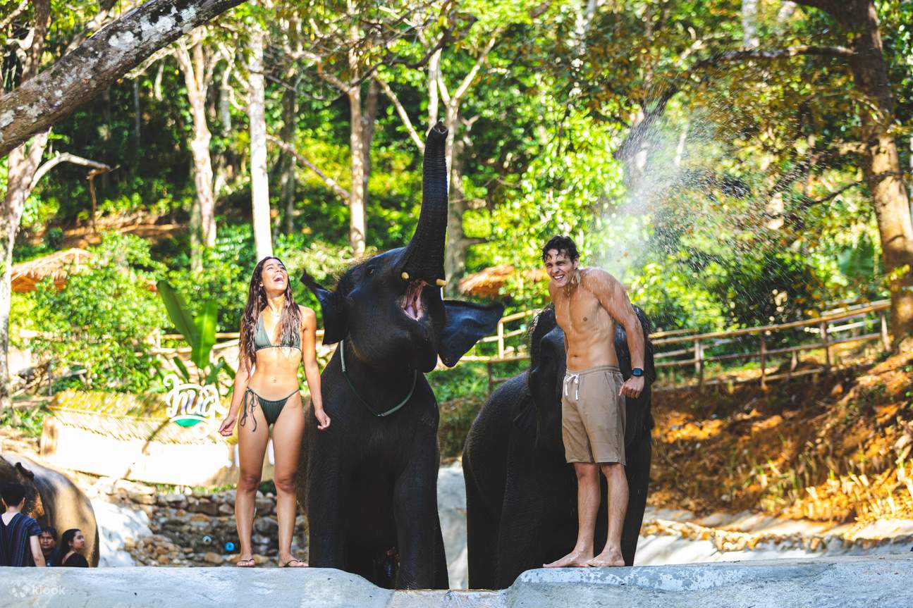 Patong Elephant Hug à Phuket