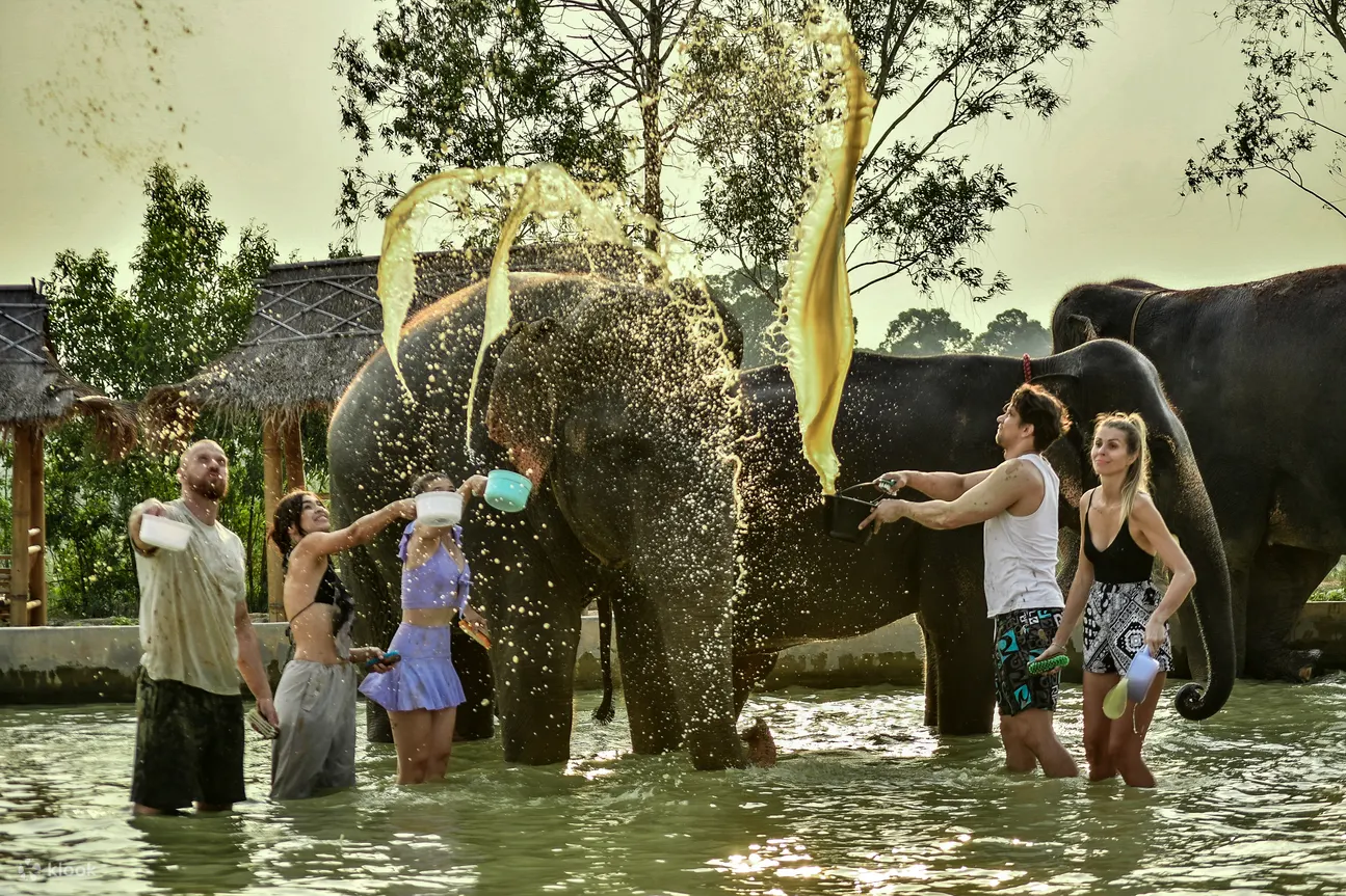 Showering elephant