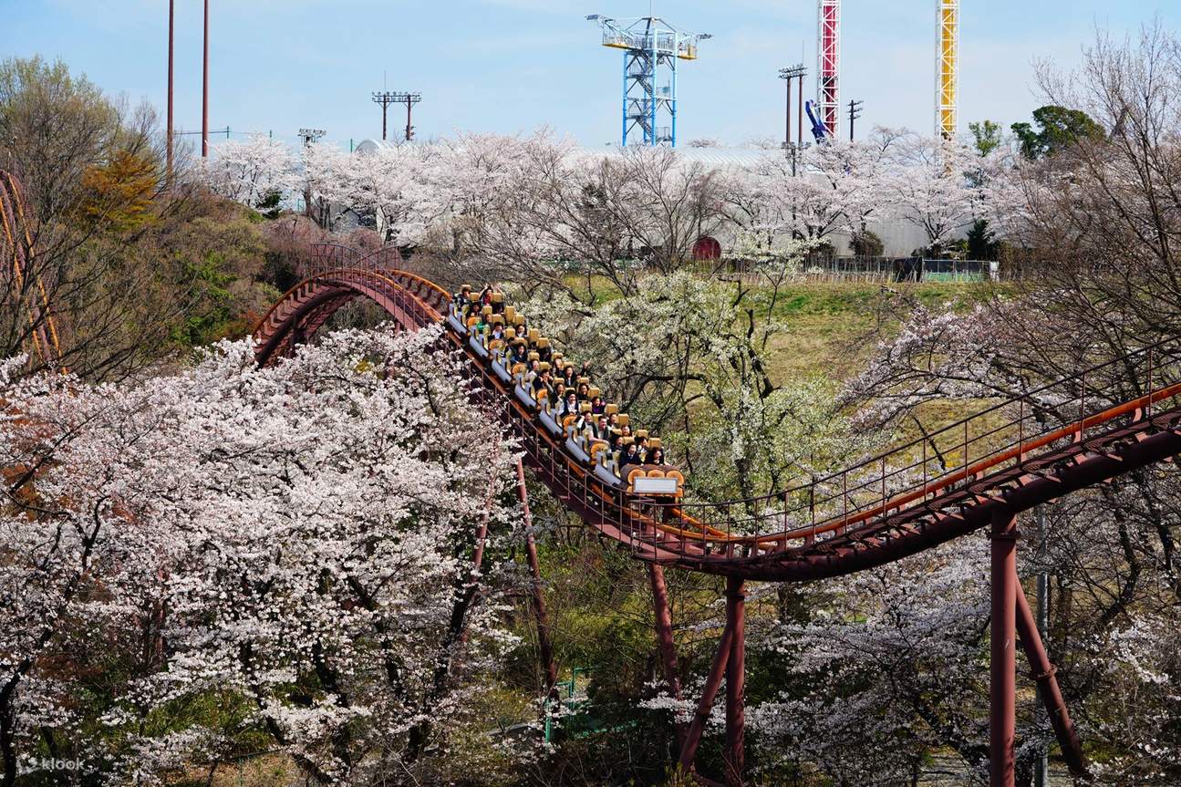 rollercoaster in yomiuriland