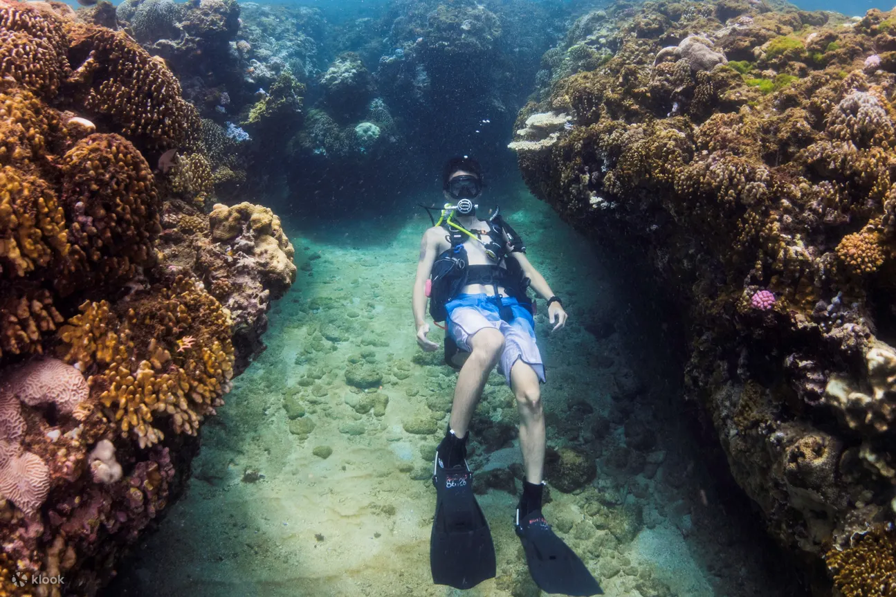 Diving Experience and OW Junior Diver Course in Green Sea Turtle Dive Shop Pingtung Xiaoliuqiu