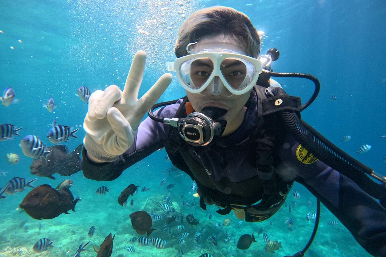 Okinawa Blue Cave Snorkeling & Diving Experience Multilingual ...