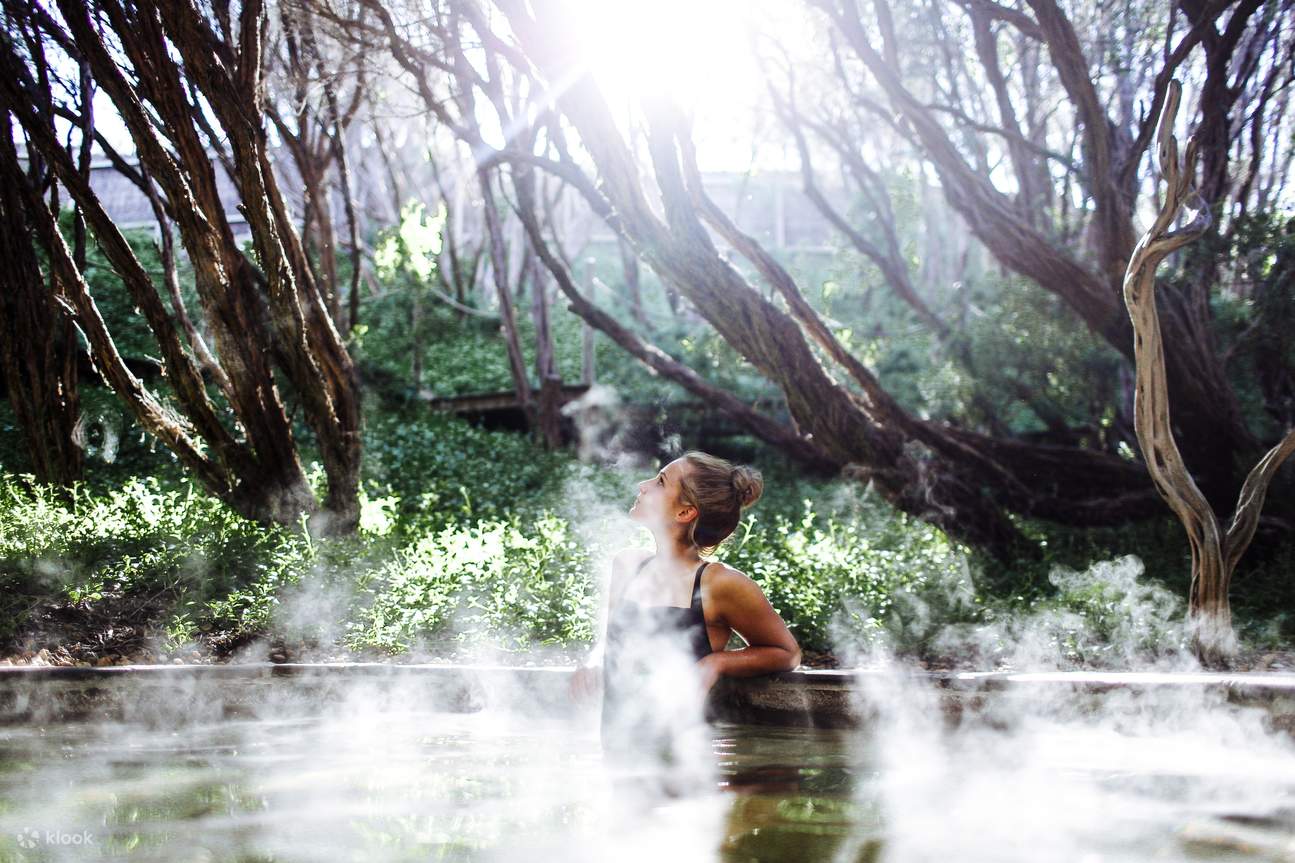 Peninsula Hot Spring Bath House Bathing Experience in Victoria
