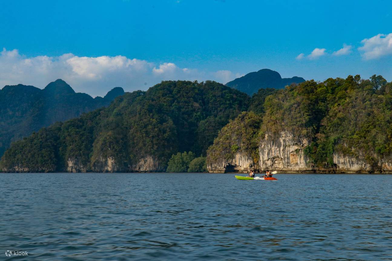 Krabi: Mangrove Kayak x Elephant Shelter Tour with Private Transfer