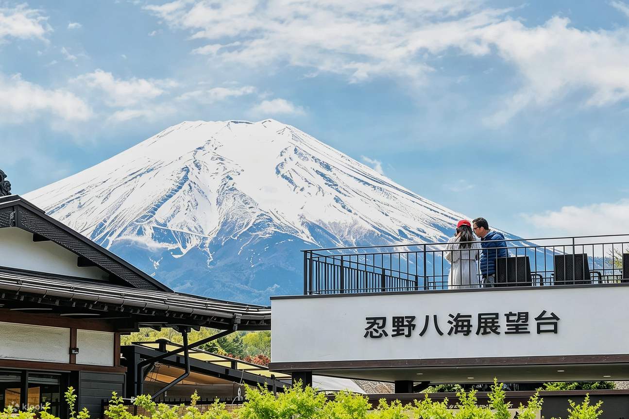 One-Day Cherry Blossom Viewing Tour | Mount Fuji Cherry Blossom