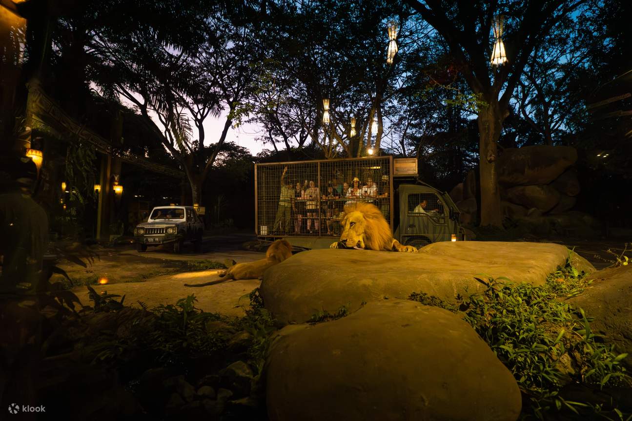 safari nocturno en Bali