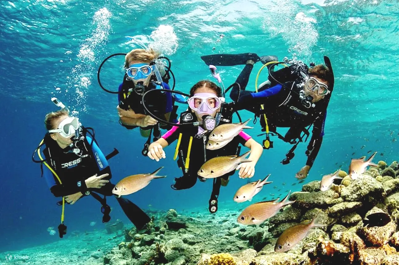 赫尔格达：潜水与浮潜介绍之旅（含午餐）