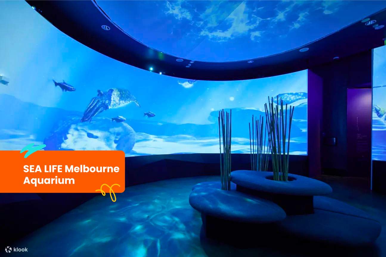 Ticket für das SEA LIFE Melbourne Aquarium