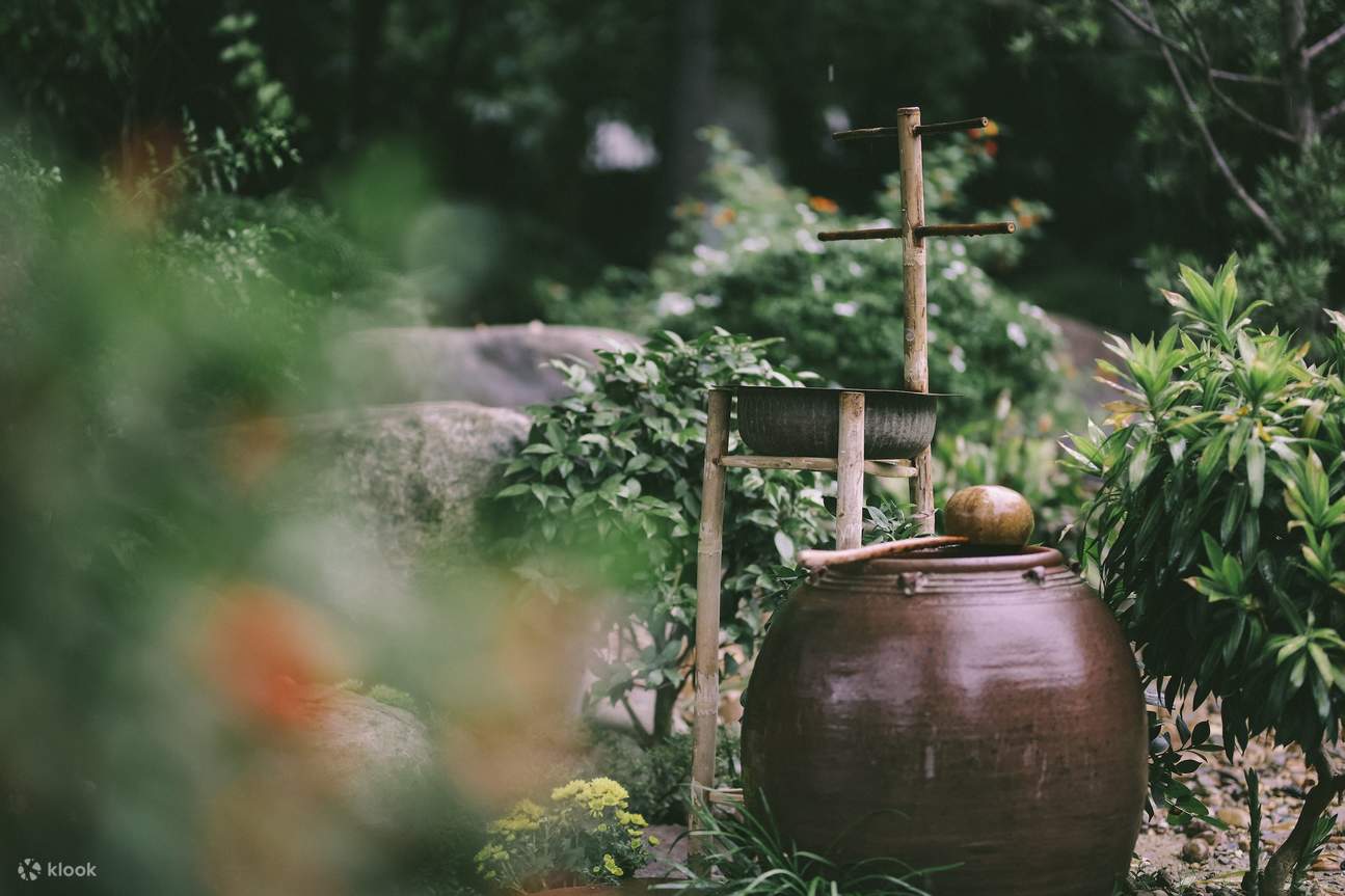 Expérience culinaire végétarienne au jardin d'An Nhien