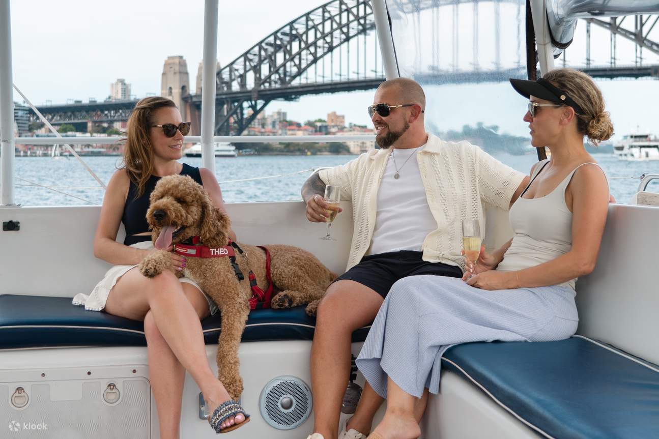 Sydney's 1st Dog Friendly Harbour Cruise: Dogs on Deck