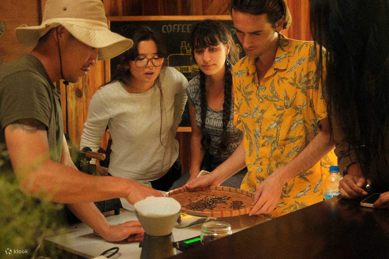 コーヒー栽培、収穫、加工から焙煎、抽出まで、コーヒーができるまでを学びましょう。