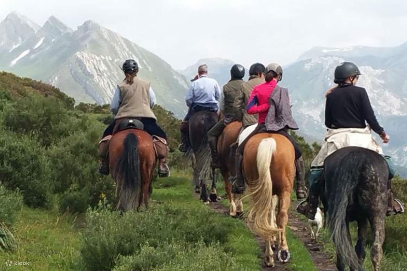 Nikmati pemandangan yang menakjubkan, pertemuan hidupan liar dan denai yang tenang dalam lawatan menunggang kuda berpandu
