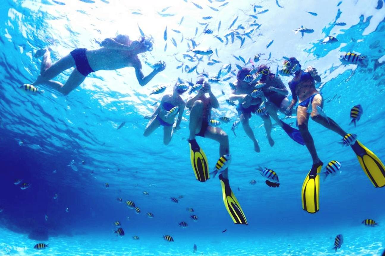 Sahl Hasheesh: Diving or Snorkeling Boat Trip with Lunch