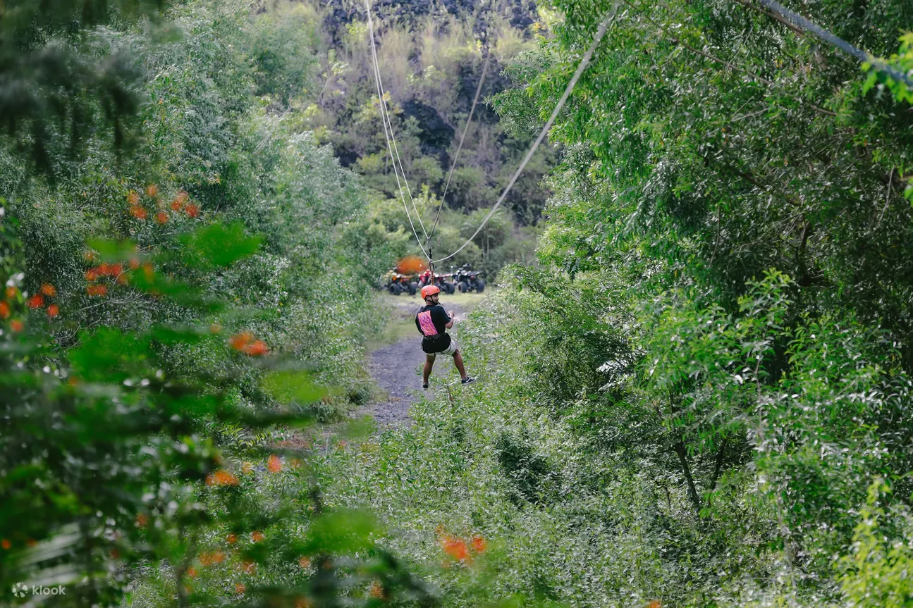 zipline