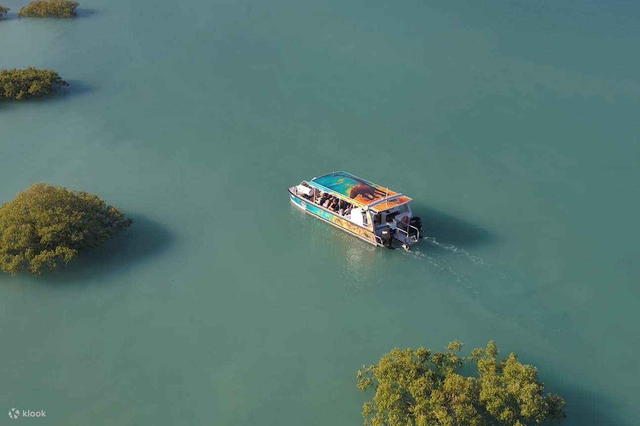 在旅途中，巡游经过被巨浪淹没的红树林