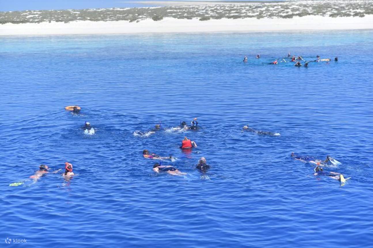 ทริปดำน้ำตื้นที่ Marsa Mubarak พร้อมบริการรับส่งและอาหารกลางวัน – Marsa Alam