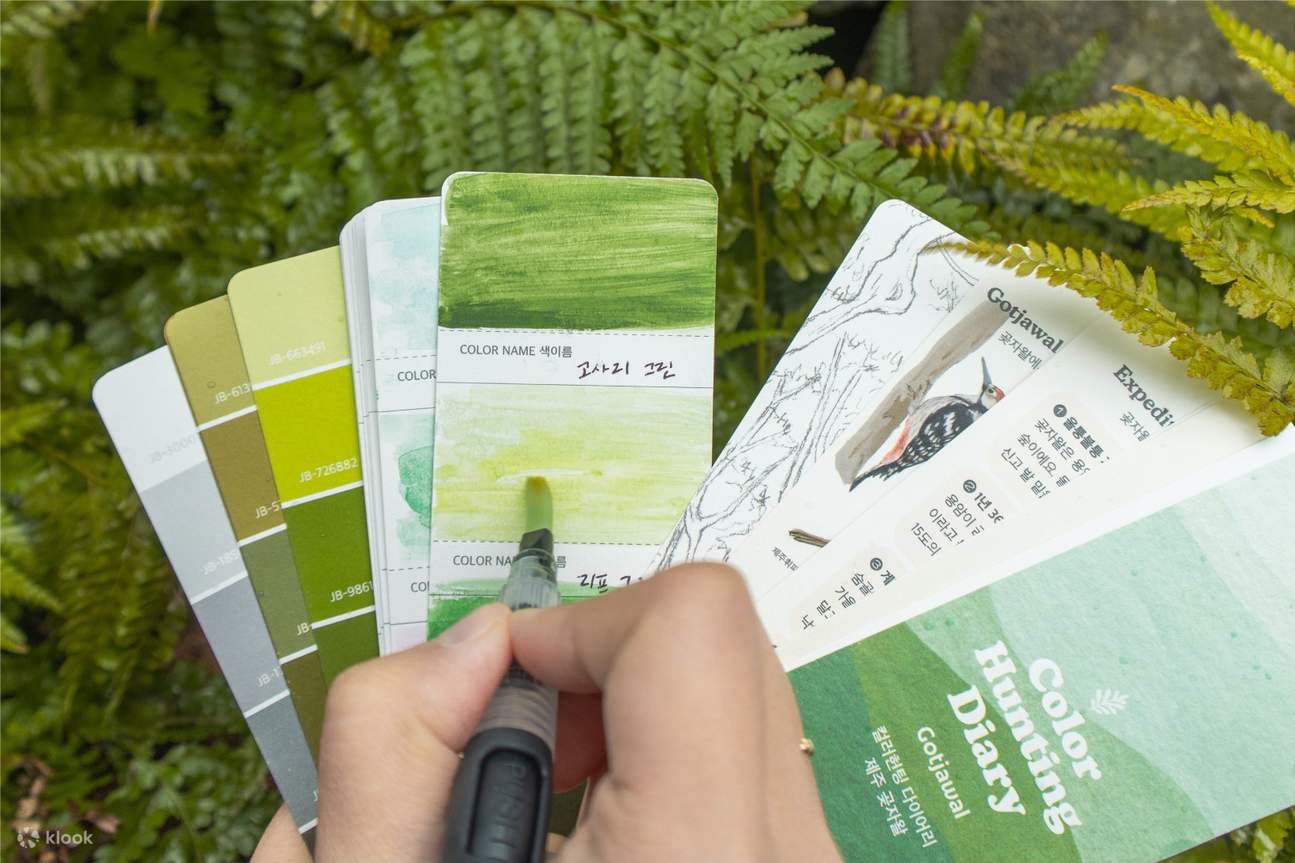 As you capture the fresh green of ferns in the forest, you’ll feel Jeju’s breath translated into color.