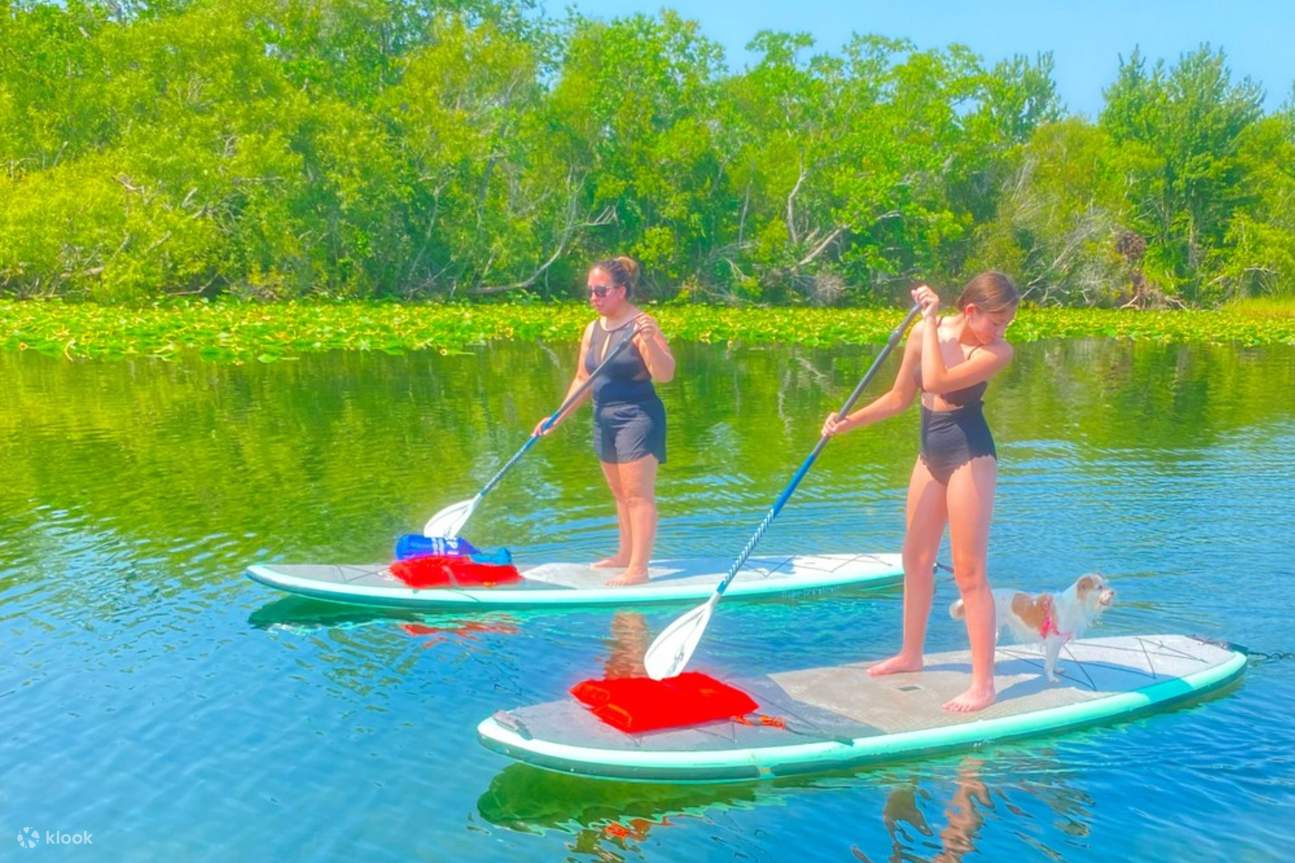 和毛茸茸的朋友一起在這美麗的湖上泛舟，冒險之旅即將開始！