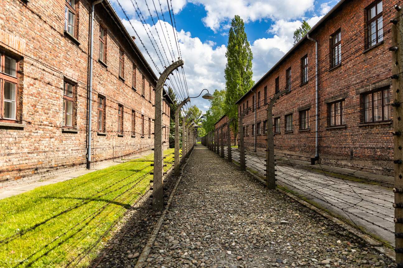 Auschwitz-Birkenau: Bustransfer ab Krakau (Hin- und Rückfahrt) 