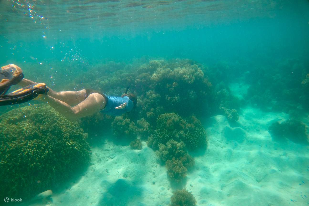 Best Freediving Tour in Guam Klook