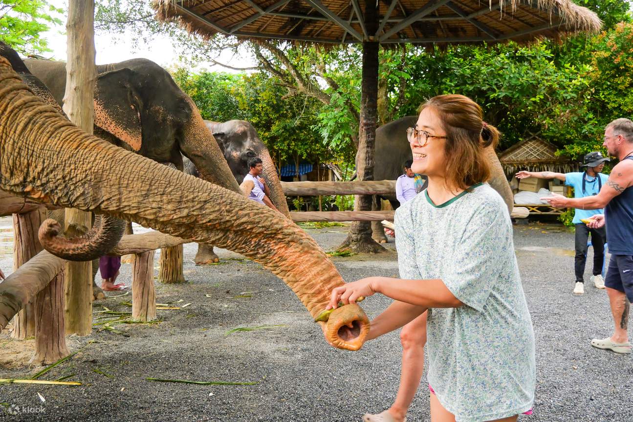 Pengalaman di Aonang Elephant Sanctuary