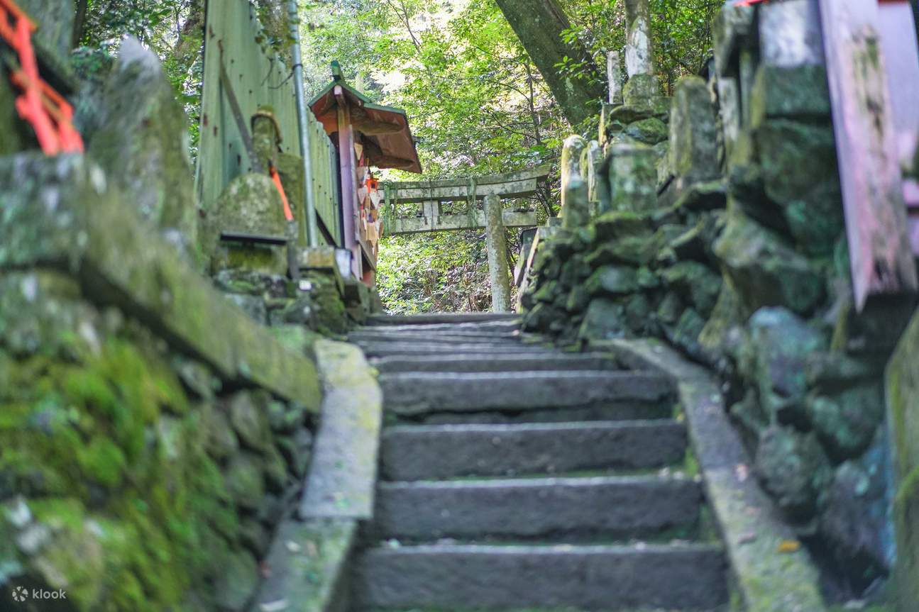 Fushimi Inari Hidden Hiking Tour Hiking Tour - Klook Australia