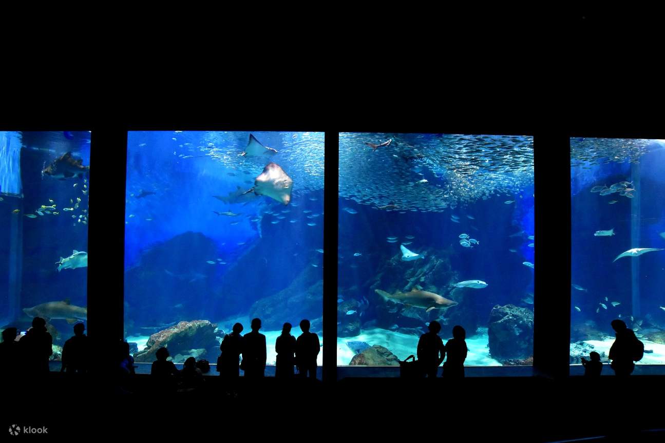 福冈海中道海洋世界水族馆