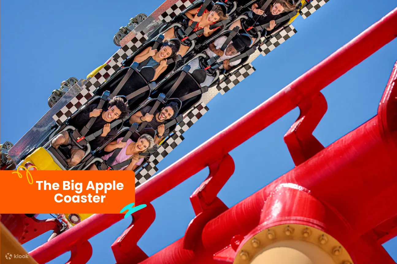 在乘坐刺激的巨苹果过山车 (Big Apple Coaster) 时，请勿将手和脚伸出车外