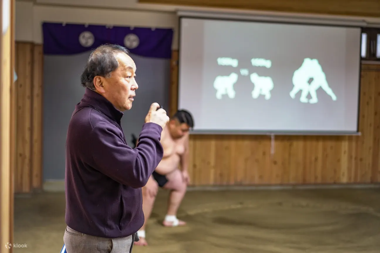 东京正宗相扑体验：进入庇护所