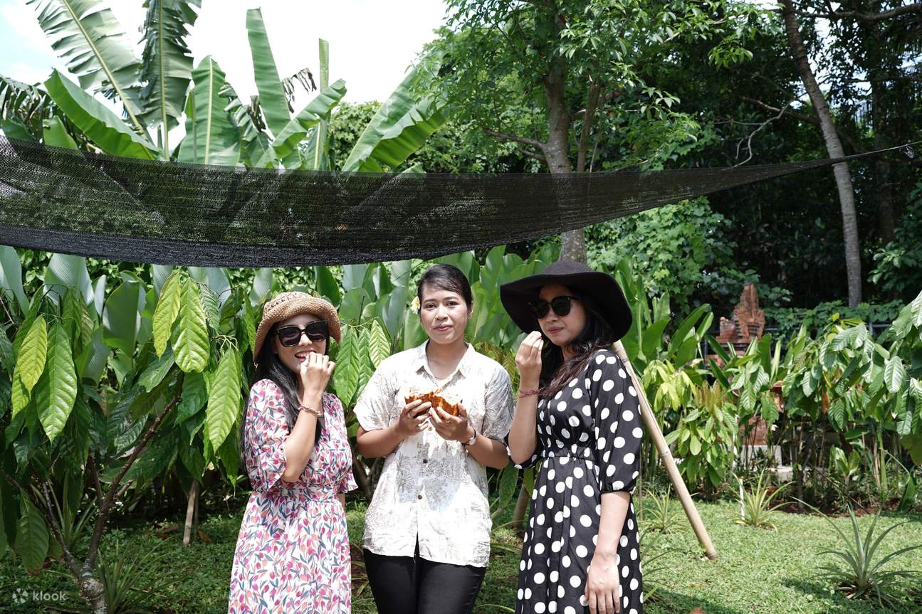 การชิมประสบการณ์ช็อกโกแลต