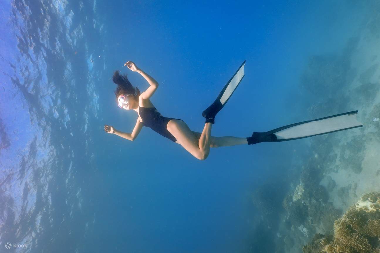 오리발을 신고 잠수하다