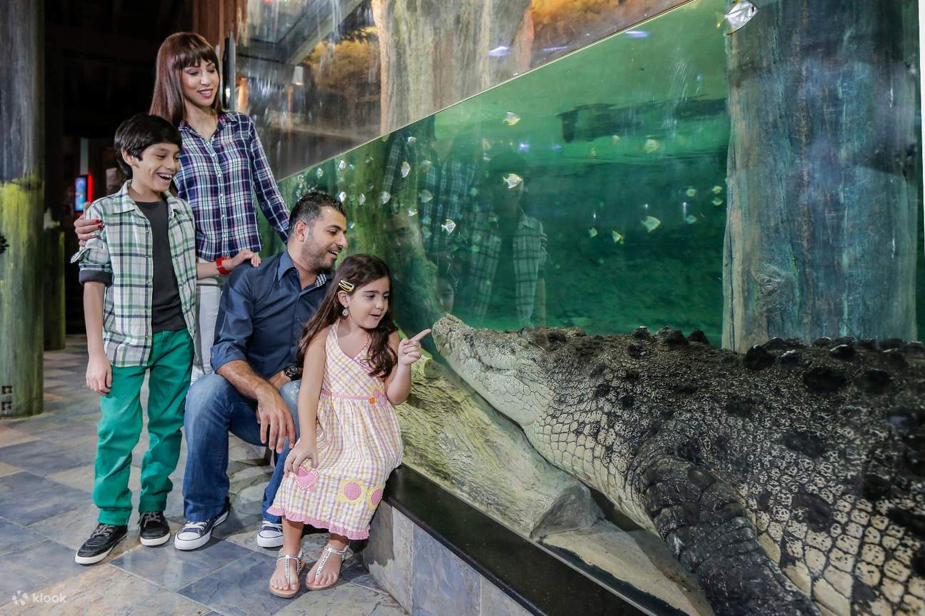 Tauchen Sie ein in Dubais bezaubernde Unterwasserwelt im Dubai Underwater Zoo