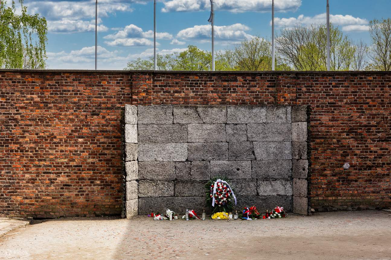 Auschwitz-Birkenau: Hin- und Rücktransfer mit dem Bus von Krakau 