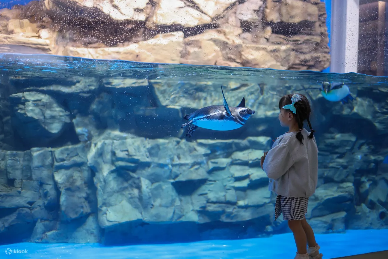 Xpark swimming penguin