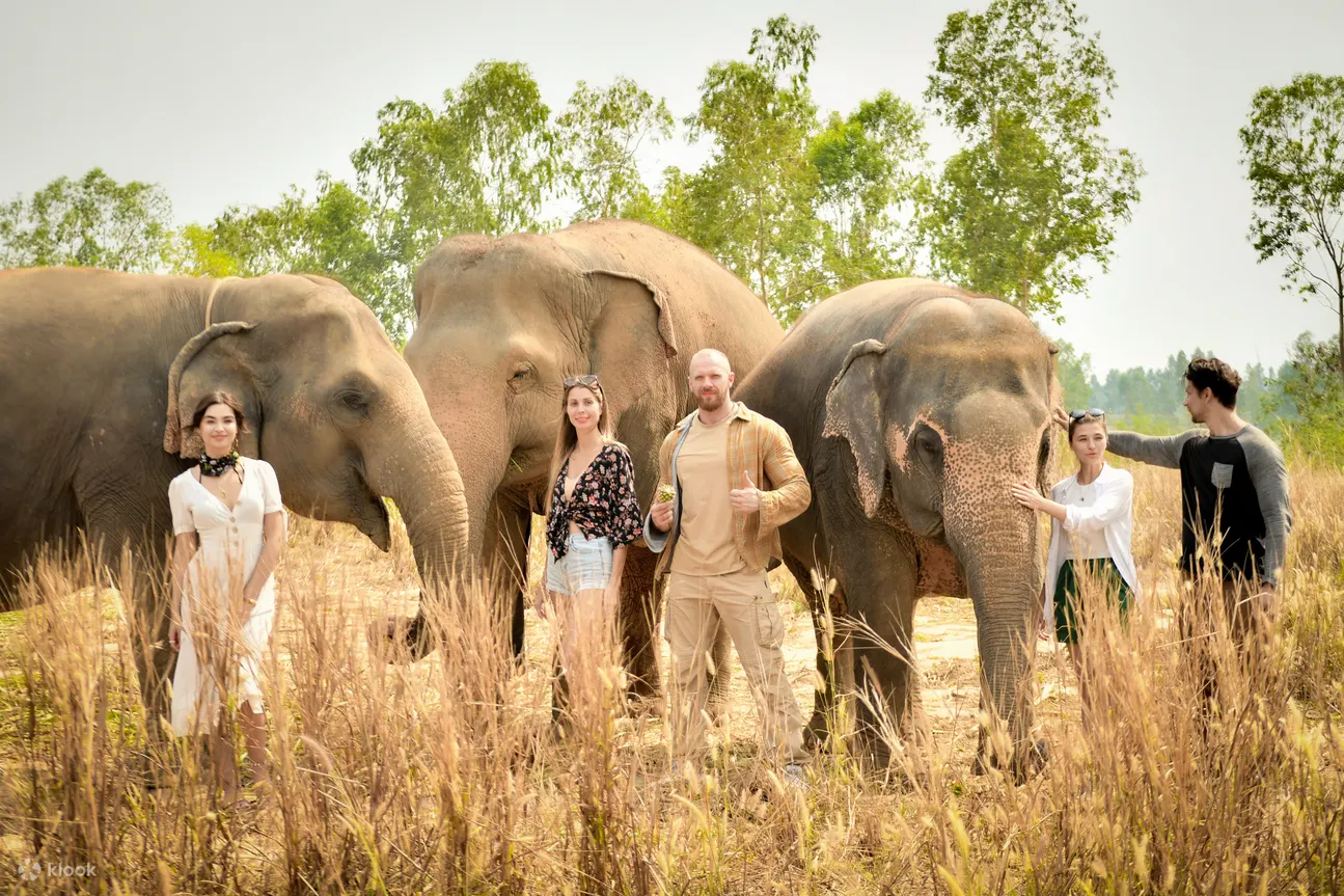 Walk with elephant