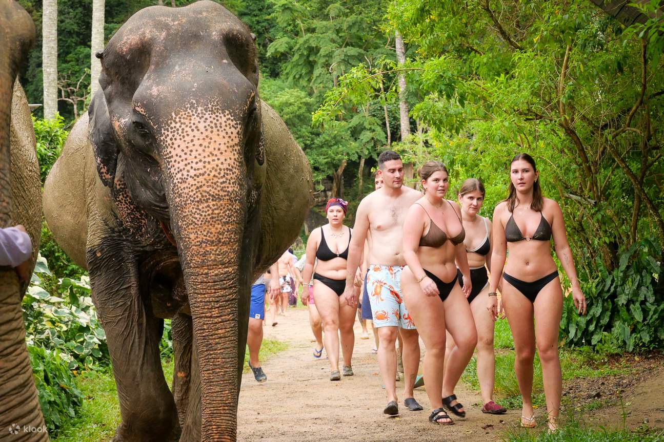 Aonang Elephant Sanctuary Erlebnis