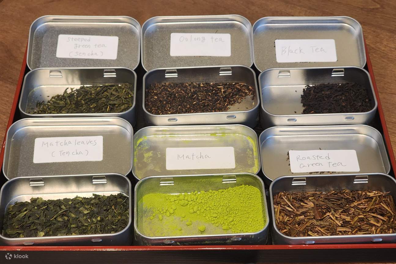 Let's compare and learn the difference between matcha and other types of tea!